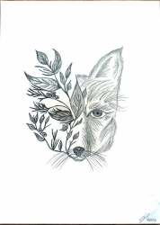  Flower Fox 